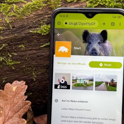 Handy mit geöffneter App zum Waldlehrpfad Wildschweinroute