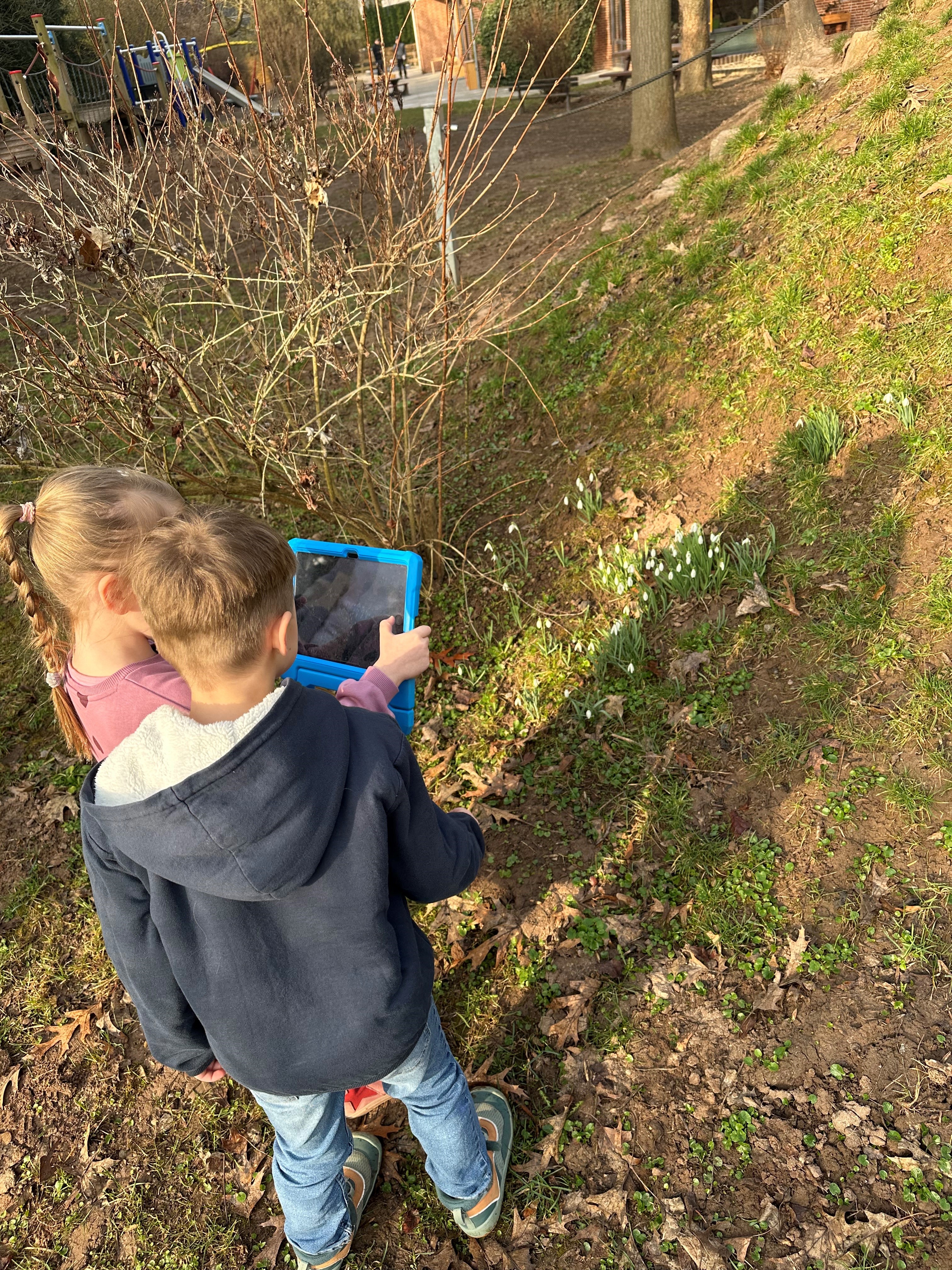 Kinder fotografieren Pflanzen mit dem Tablet.